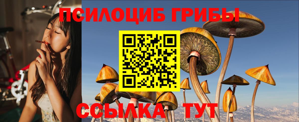 Псилоцибиновые грибы GOLDEN TEACHER  Вход с VPN  Павлово  Галлюциногенные грибы мицелий 